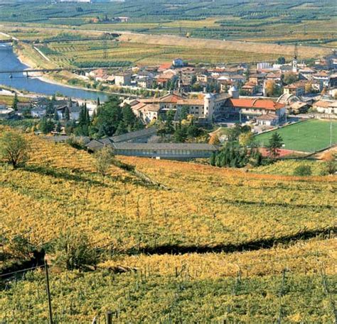 La Scuola Del Vino Ditalia Per Eccellenza Listituto Agrario Di San