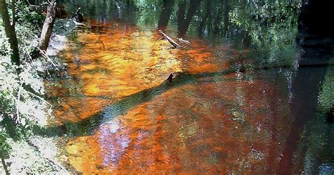 Leon Sinks Geological Area In Leon County Florida Sygic Travel