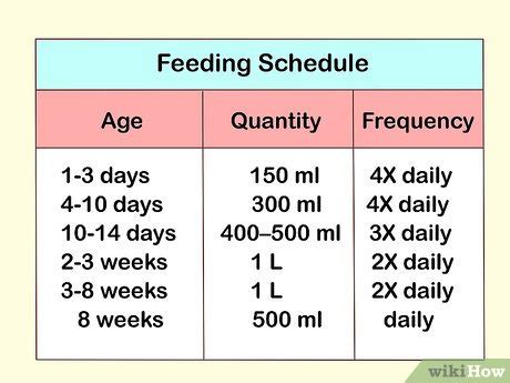 Bottle Feeding Baby Goat Chart - Best Pictures and Decription Forwardset.Com