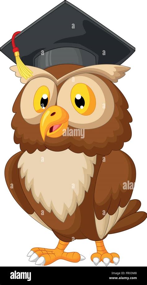 Owl Wearing Graduation Cap Stock Vector Image And Art Alamy