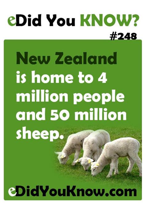 Did You Know 248 Pointless Facts Did You Know Facts Animal Facts