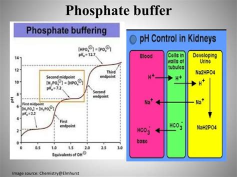 Presentation on Buffer