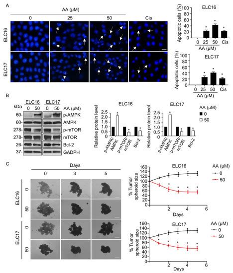 Ijms Special Issue Natural Compounds In Cancer Therapy And Prevention