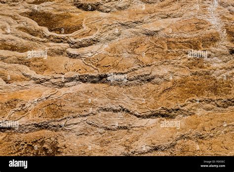 Pattern Of Mineral Deposition Mammoth Hot Springs Yellowstone National Park Wyoming USA