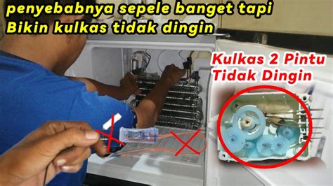 Ini Gampang Bosqu Kulkas Polytron Pintu Bagian Bawah Tidak Dingin