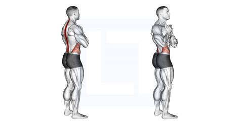 Standing Back Rotation Stretch Guide Benefits And Form