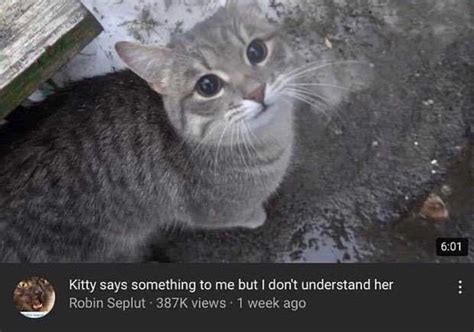 Robocop Facts On Twitter Rt Tweetsofcats