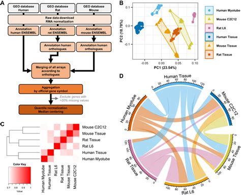 Transcriptomic Profiling Of Rat L Mouse C C And Human Primary