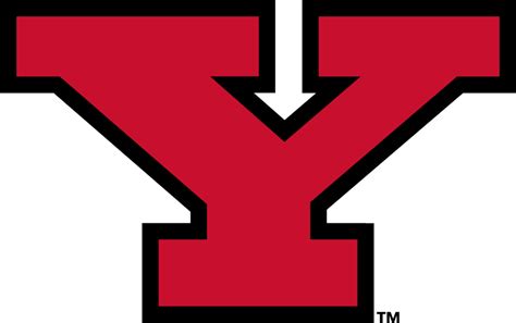 Youngstown State Penguins Logo - Alternate Logo - NCAA Division I (u-z ...