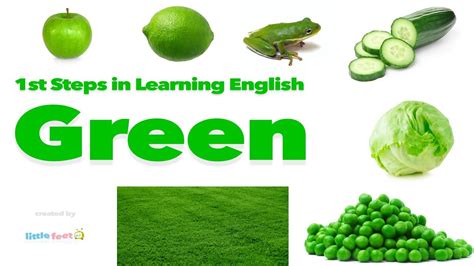 Learn 7 Green Objects In English With Pictures Vocabulary For Kids