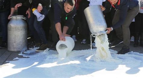 Protesta Latte La Stima Di Coldiretti Gettati 3 Milioni Di Litri