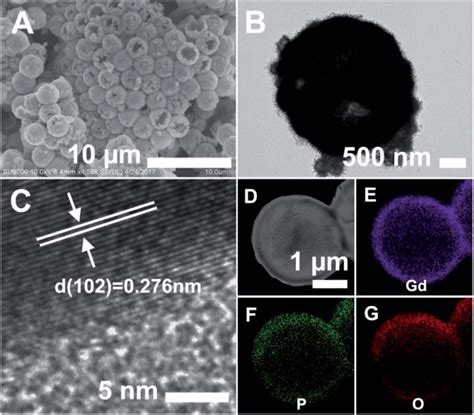 Sem A Tem B And Hrtem C Images Of The Gdpo Hollow