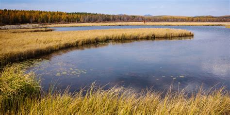 Battle For Wetlands Can Still Be Won Residential Development Impact