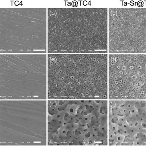 The Sem Micrographs Of Tc4 A D And G Ta Tc4 B E And H And Download Scientific Diagram