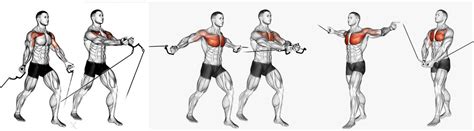 Cable Crossover The Best Tips And Tricks To Shock Those Pecs Into