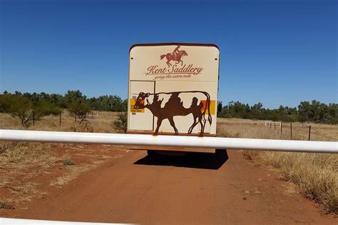 Here Comes A Cow Metal Cut Outs On A Yarrie Gate Wa Kent Saddlery