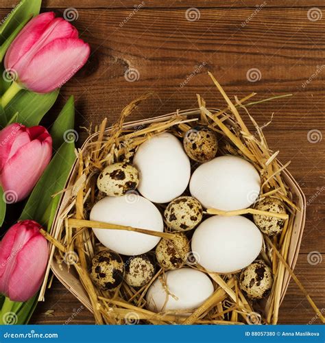 Ovos Da Galinha E De Codorniz Tulipas Fundo De Easter Foto De Stock