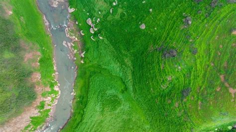 Premium Photo Aerial View Of Beautiful Natural Water Stream And Green Field Of Grass In The