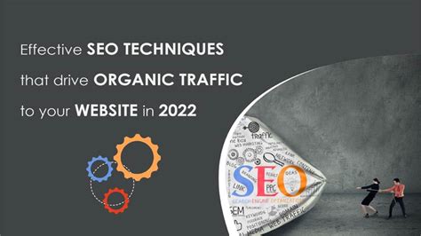 Seo Techniques To Drive Website Organic Traffic In 2022