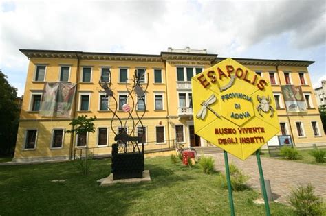 Casa Delle Farfalle E Bosco Delle Fate Di Butterfly Arc Montegrotto