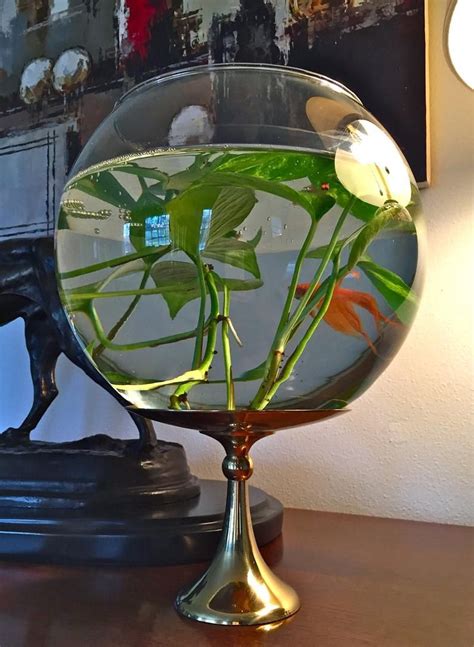 Extra Large Clear Glass Bubble Bowl Fishbowl Goldfish Betta Fish Bowl