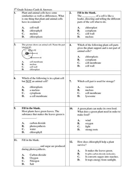 5th Grade Science Activity Worksheets