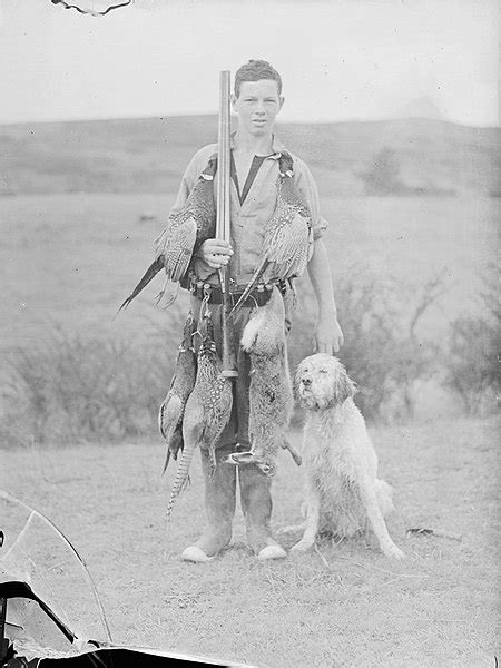 Using A Labradoodle For Hunting - Can Labradoodles Hunt?