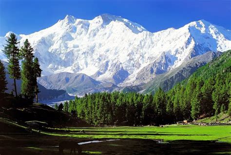 Amazing Wallpapers: Beautiful landscapes of pakistan