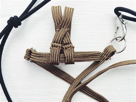 Petsmart Bird Harness at Janet Choi blog