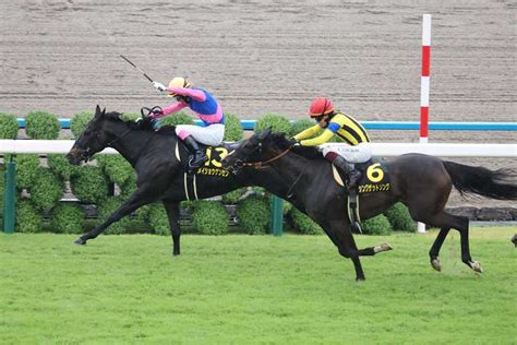 【夕刊フジ杯オパールs】メイショウゲンセンが逃げ切ってオープン初勝利 サンスポzbat