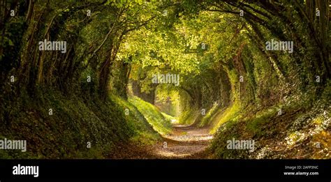 Roman Road Halnaker Hi Res Stock Photography And Images Alamy