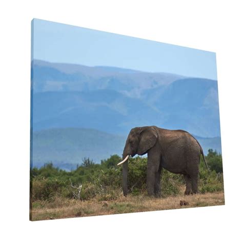 Cuadro Elefante Krea Canvas Off