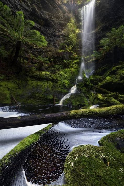 The Commercialisation Of The Tasmanian Wilderness Tasmanian Times
