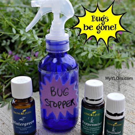 Natural Non Toxic Bug Spray With Young Living Essential Oils