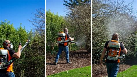 The Importance Of Spraying Fruit Trees In Nz Marc Doyle Treework