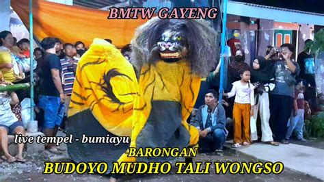 BARONGAN BUDOYO MUDHO TALI WONGSO BMTW GAYENG LIVE TEMPEL