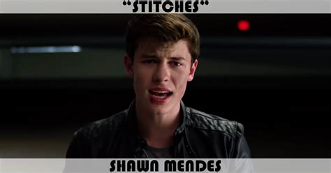 "Stitches" Song by Shawn Mendes | Music Charts Archive