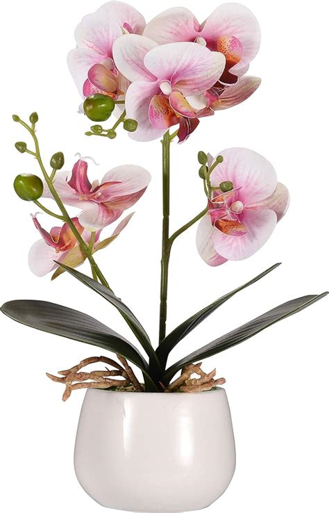 Amazon De Asvert Kunstpflanze Orchidee K Nstliche Orchideen