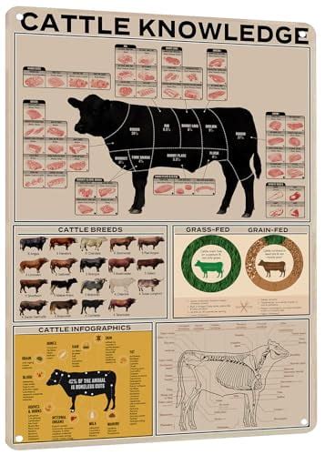 Premium Cattle Knowledge Metal Tin Sign Comprehensive Beef Cuts