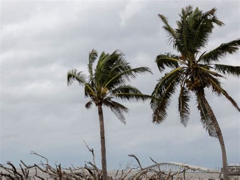 Hurricane Milton challenges US flood insurance bonds