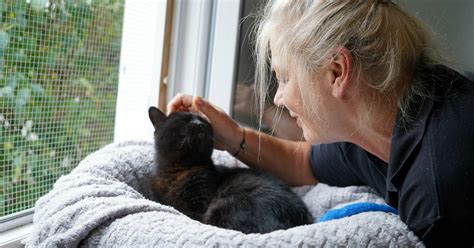 Remscheid Zu viele Katzen Tierheim ist überfüllt