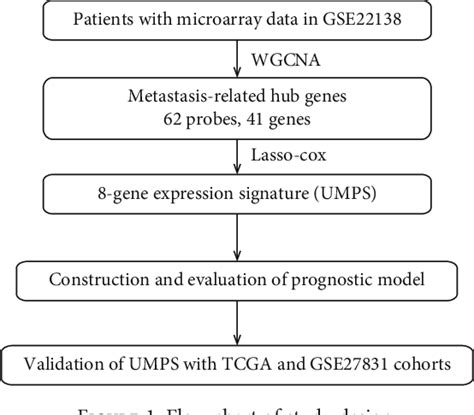 Figure 1 From A Novel 8 Gene Prognostic Signature For Survival