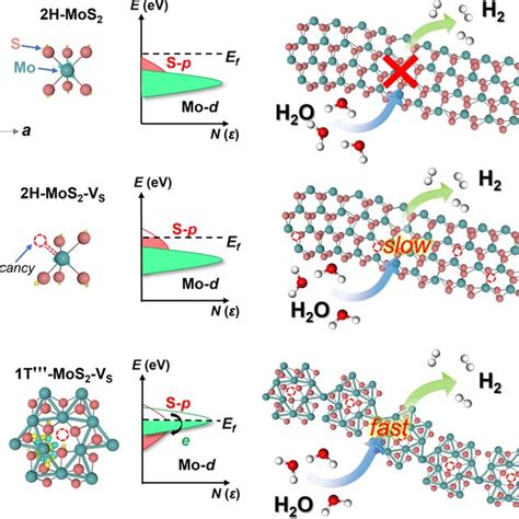 PDF Charge Self Regulation In 1T MoS2 Structure With Rich S