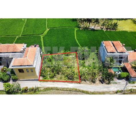 Dijual Tanah Lodtunduh Ubud Luas Are Dekat Mas View Sawah Lingkungan