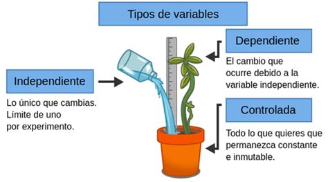 Antena Inoxidable Logo Que Son Las Variables De Investigacion Ejemplos