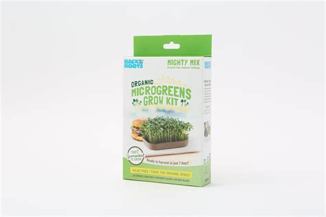 Back To The Roots Organic Microgreens Grow Kit Mighty Mix Walmart