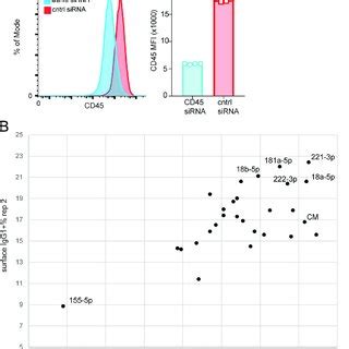 Loss Of MiR 221 222 Decreases The Number Of Plasma Cells PCs And IgE