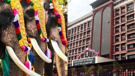 Kerala HC reminds Devaswoms of rule of law, refuses elephant procession ...