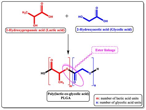 Pharmaceutics Free Full Text Plga Based Nanomedicine History Of