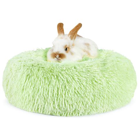 Where Do Rabbits Sleep Bunny Beds Bunny Approved House Off